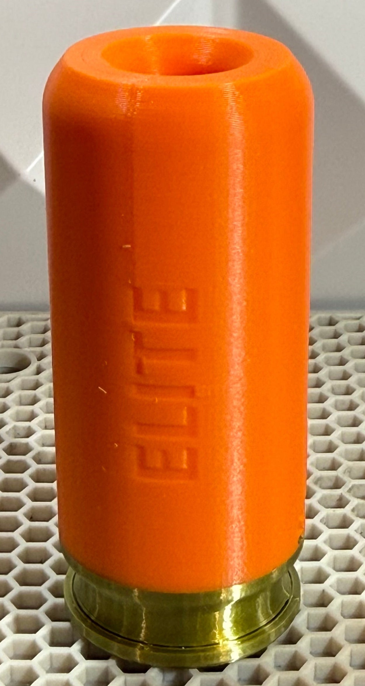 Silly Shells by Sillybutts