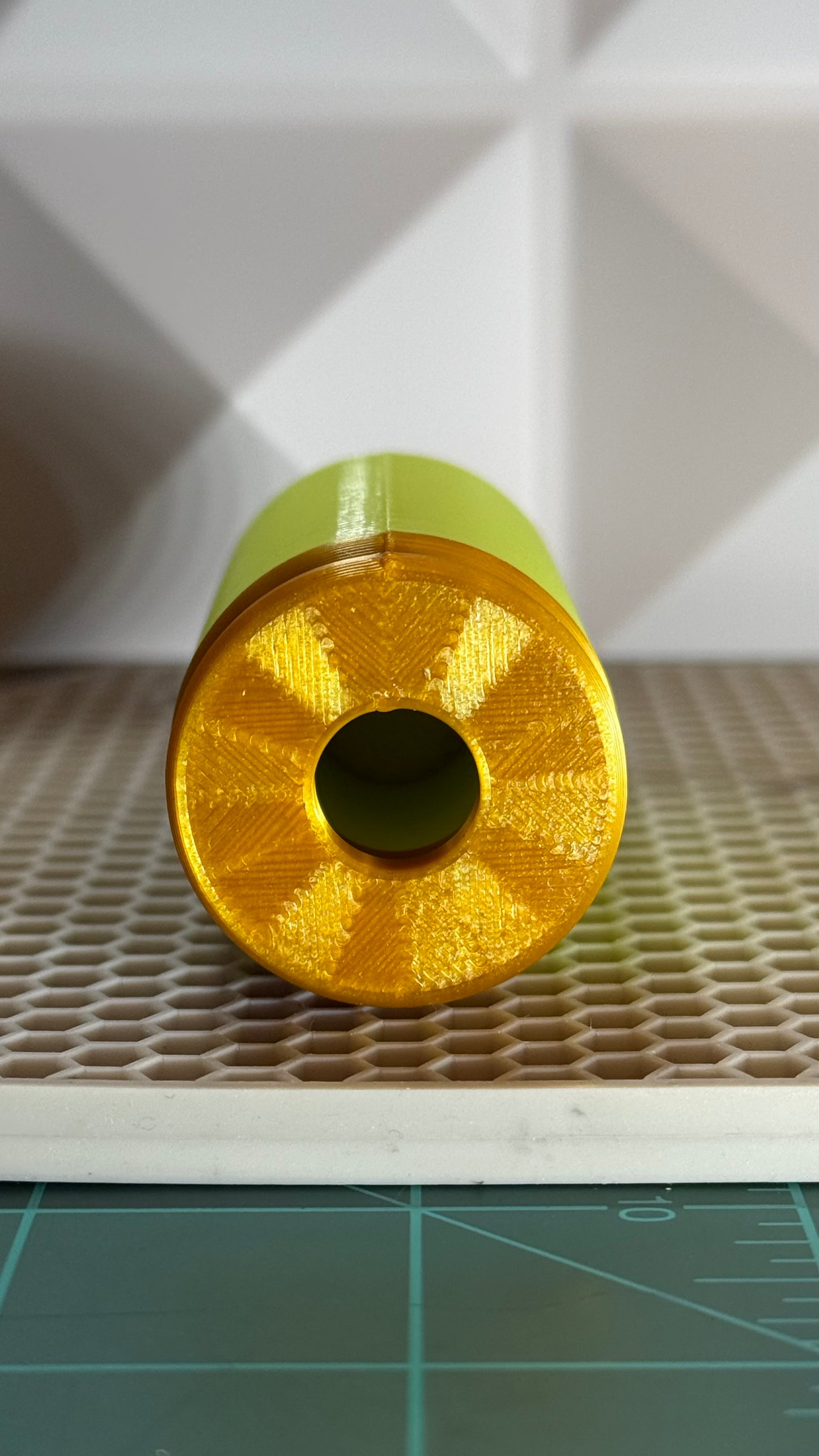 Silly Shells by Sillybutts