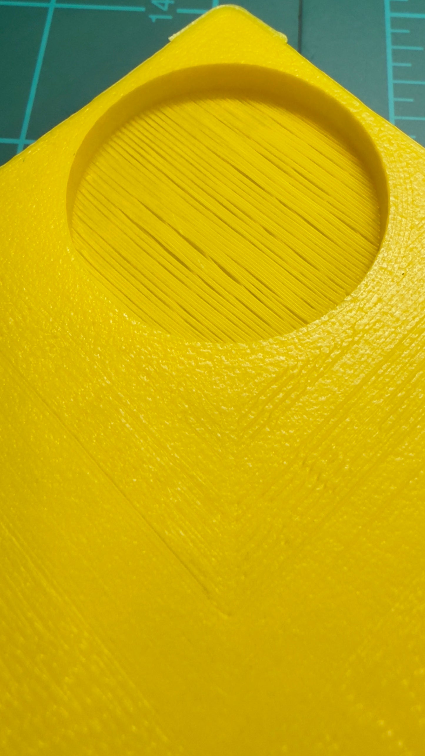 “Silly Shell” 25x Holder / Stackable Stand