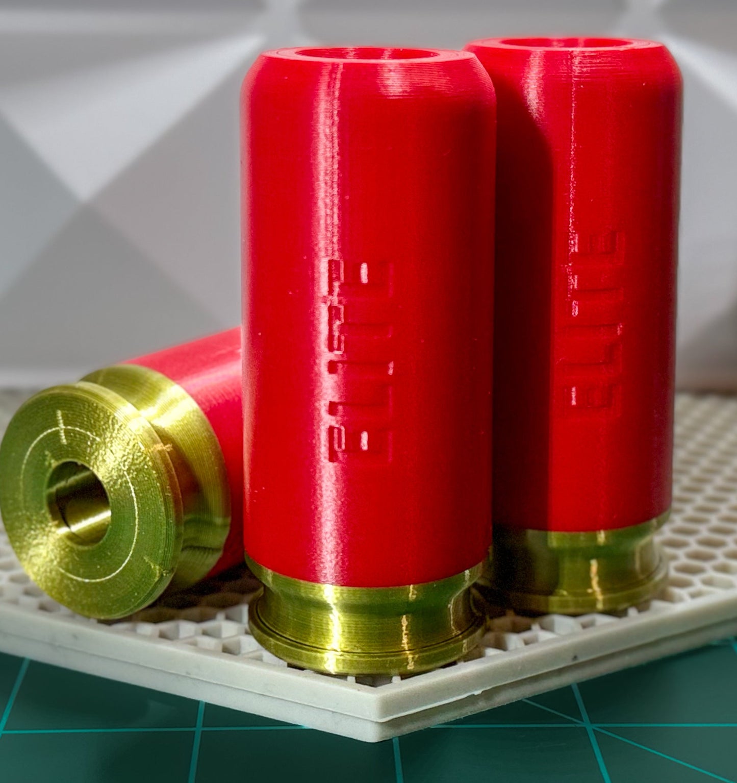 Silly Shells by Sillybutts